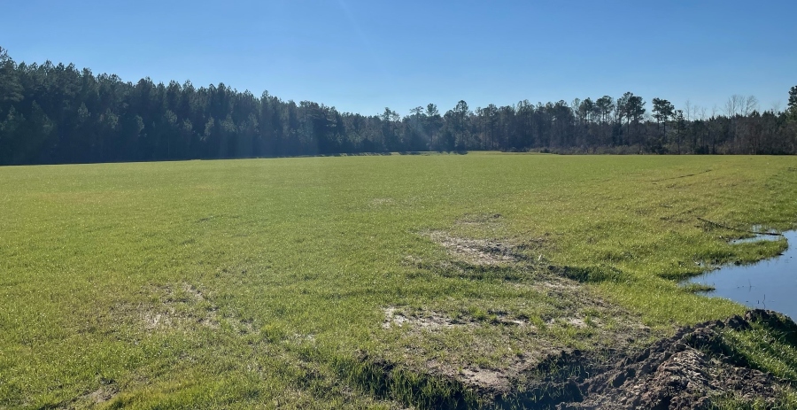 Dorchester County officials say the site’s occupant will have ready access to all major utilities. (Photo/Dorchester County Development Corp.)